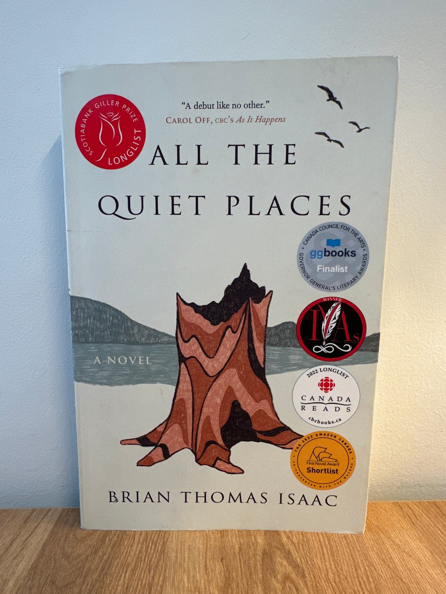 All the Quiet Places: A Novel