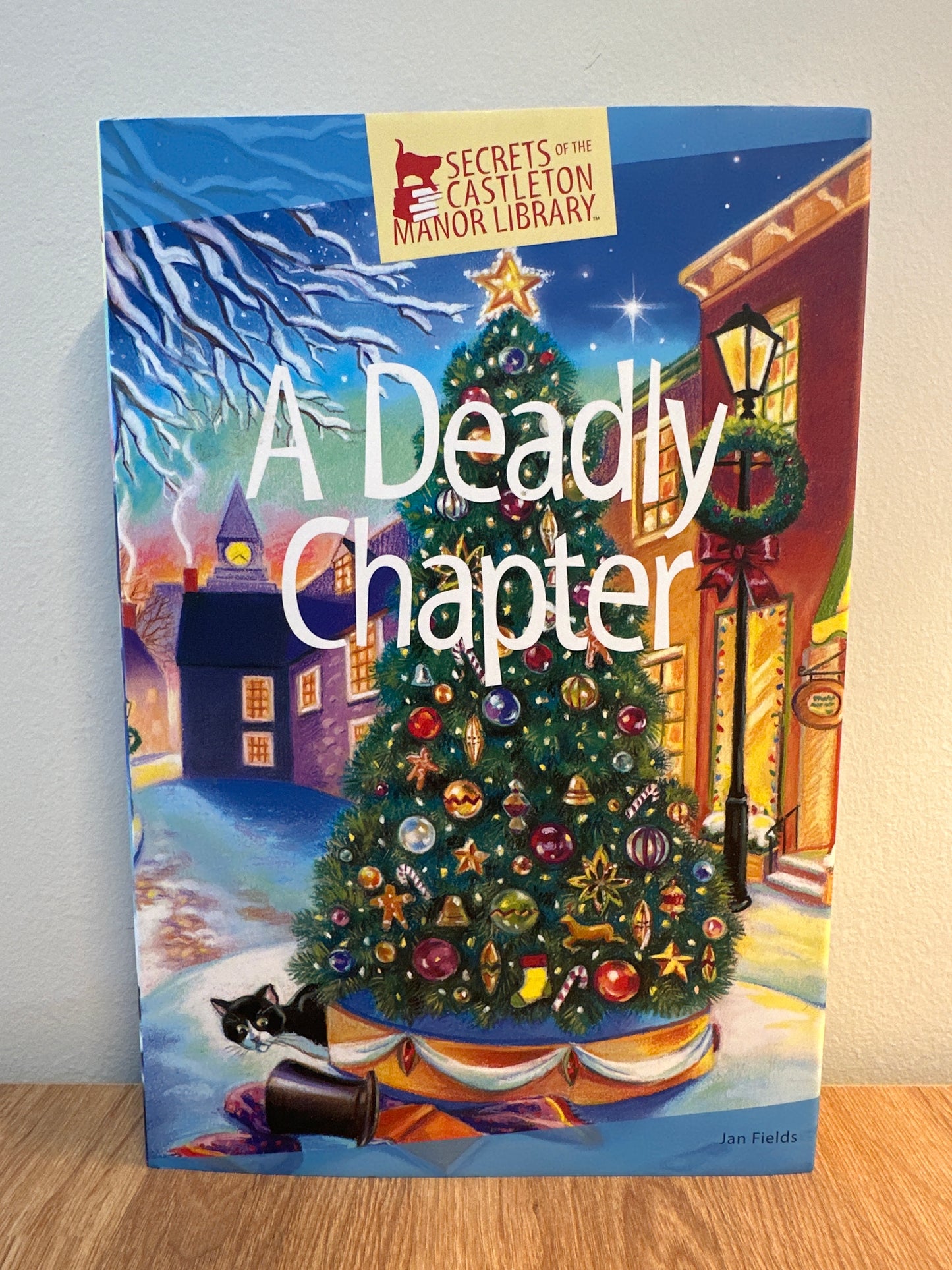 A Deadly Chapter