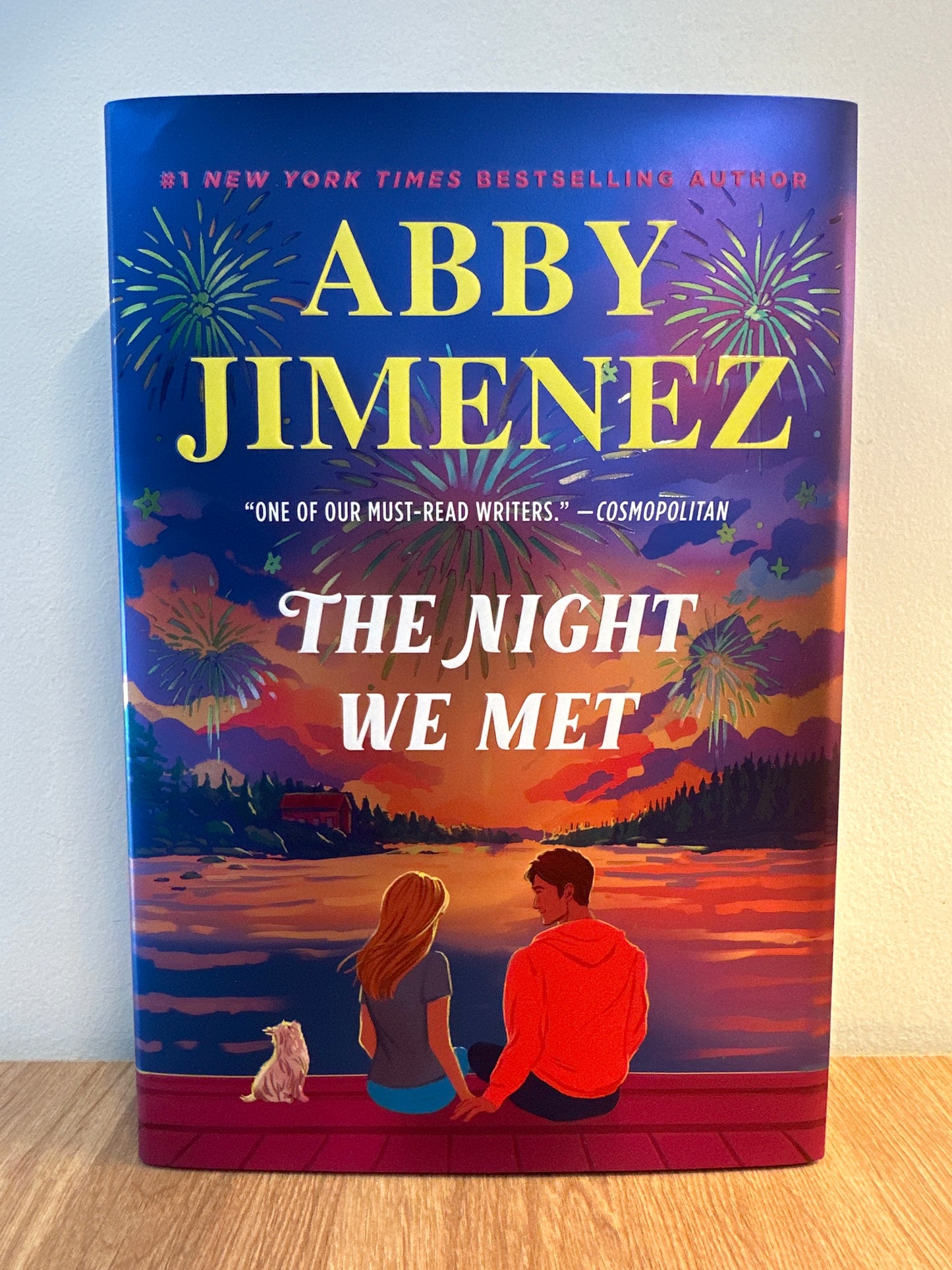 The Night We Met