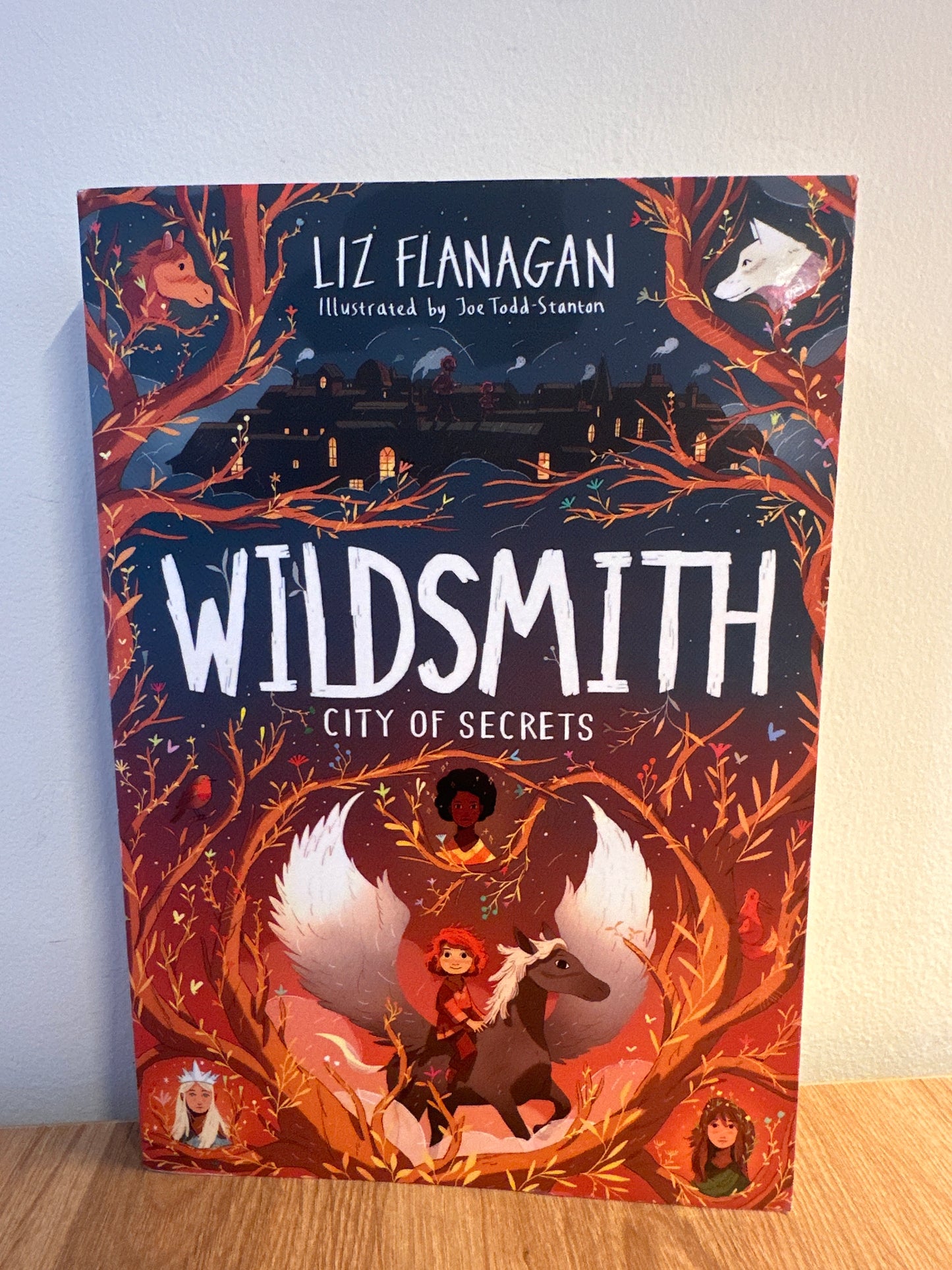 City of Secrets: The Wildsmith #2