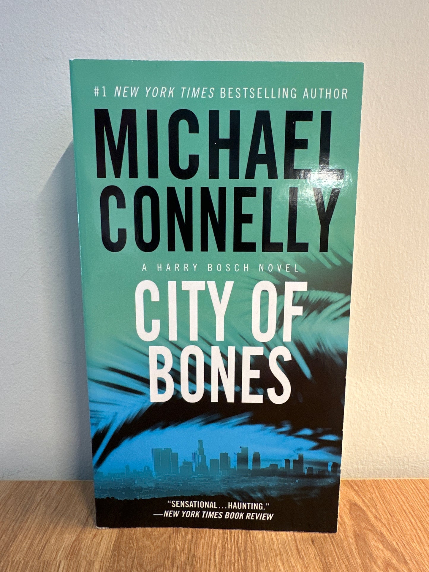 City of Bones