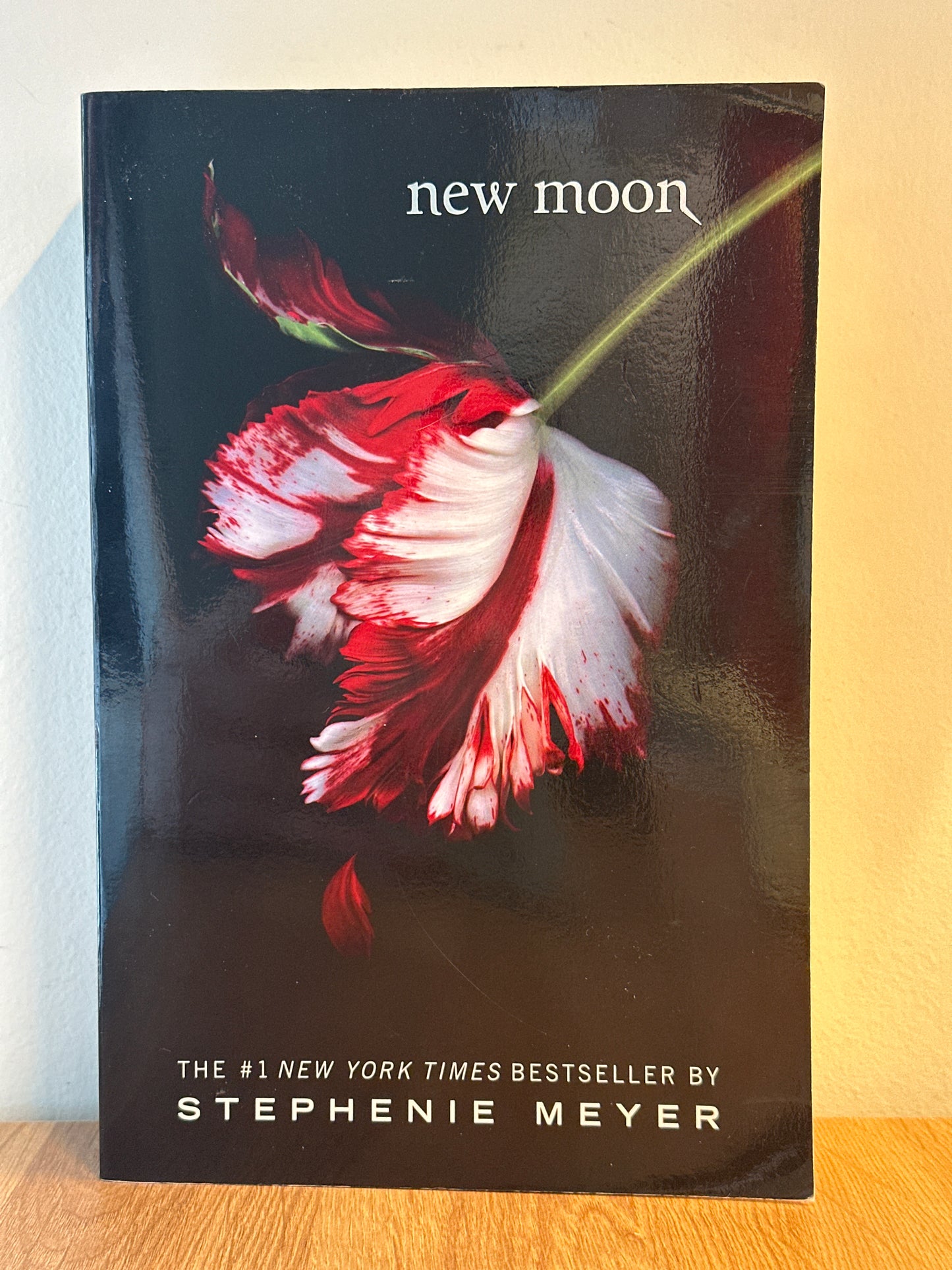 New Moon