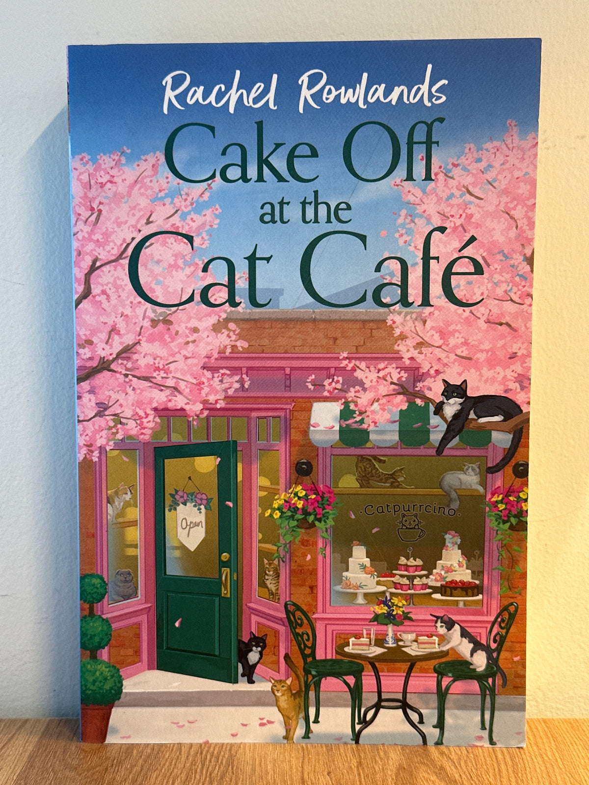 Cake Off at the Cat Cafe
