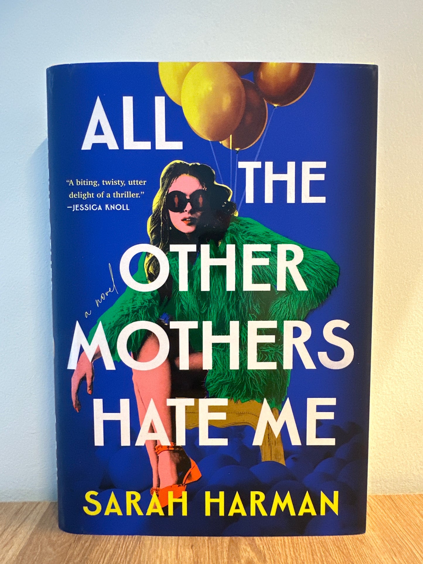 All the Other Mothers Hate Me