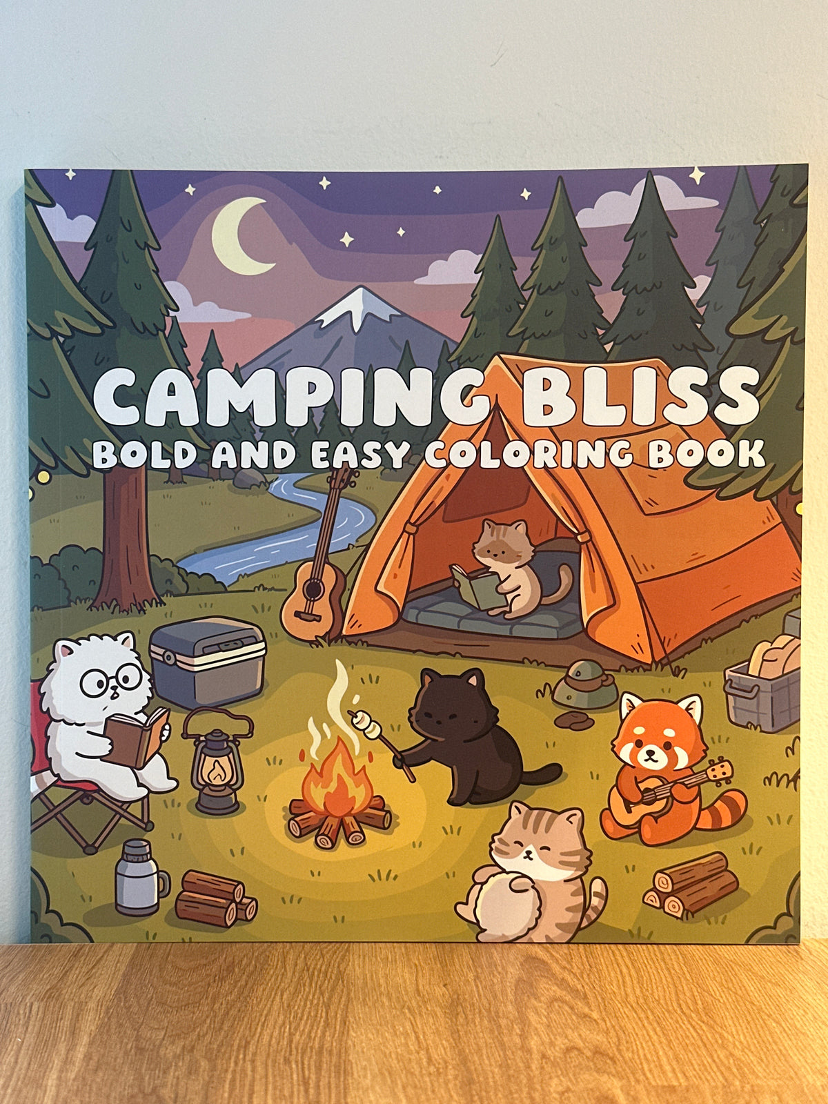 Camping Bliss Bold and Easy Coloring Book