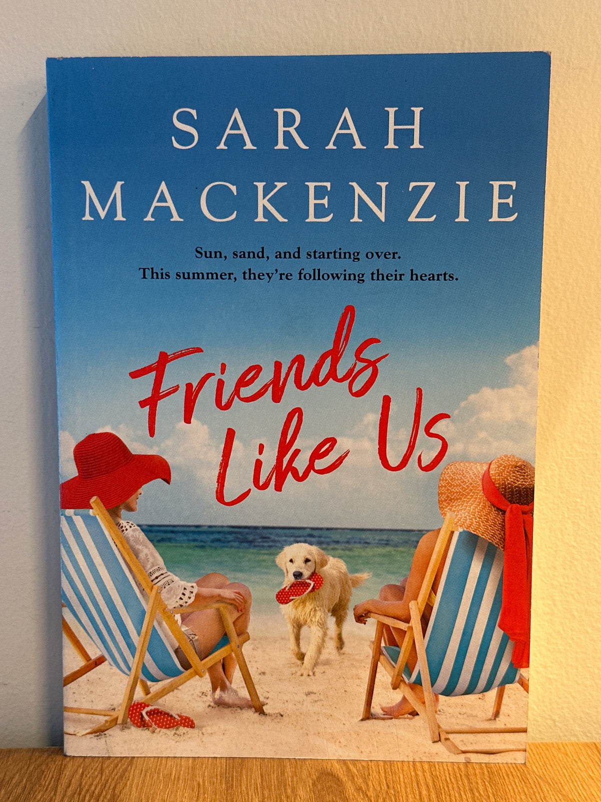 Friends Like Us