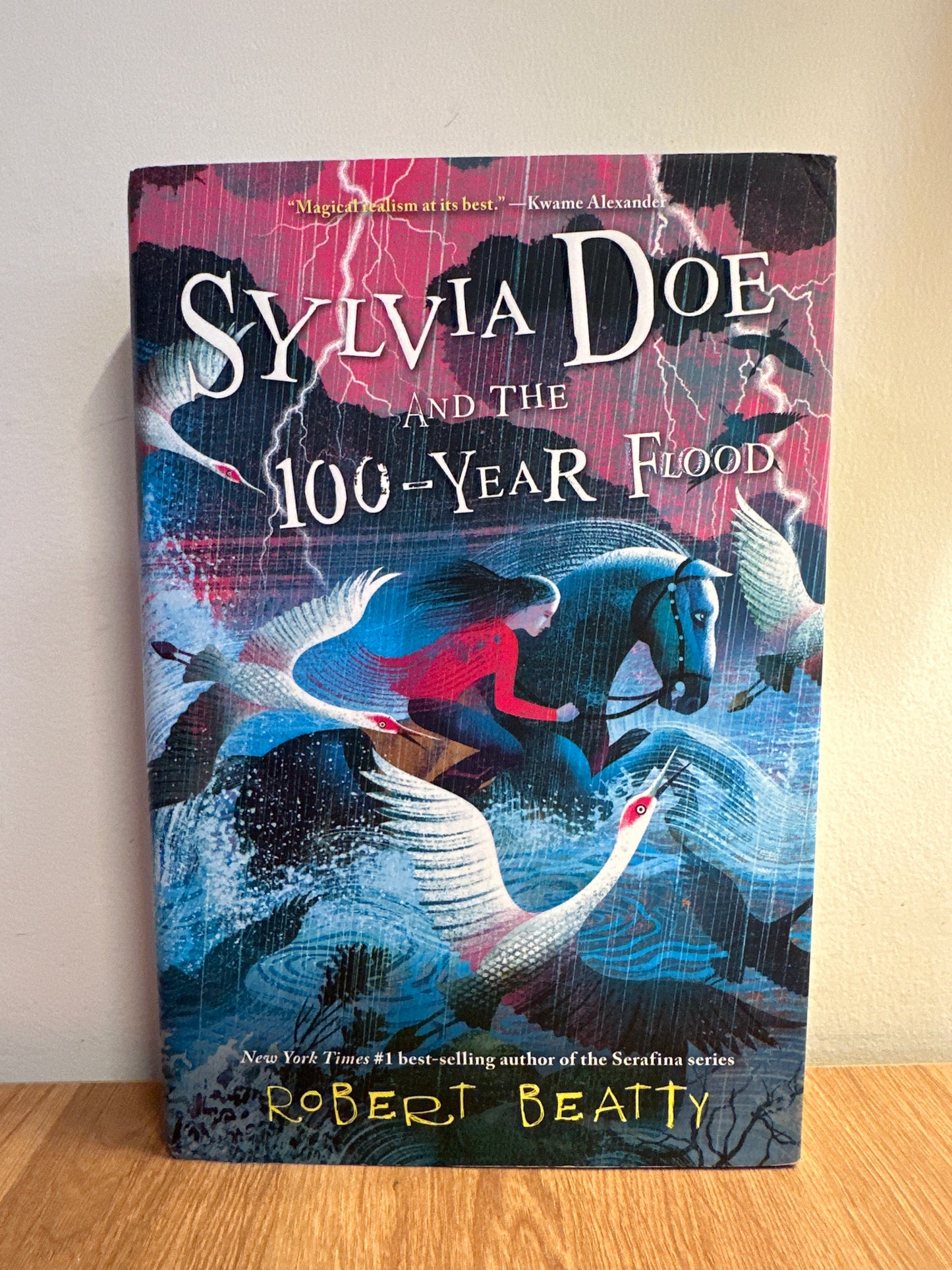 Slyvia Doe and the 100-Year Flood