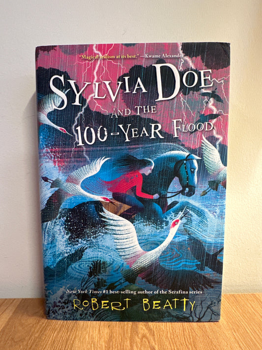 Slyvia Doe and the 100-Year Flood