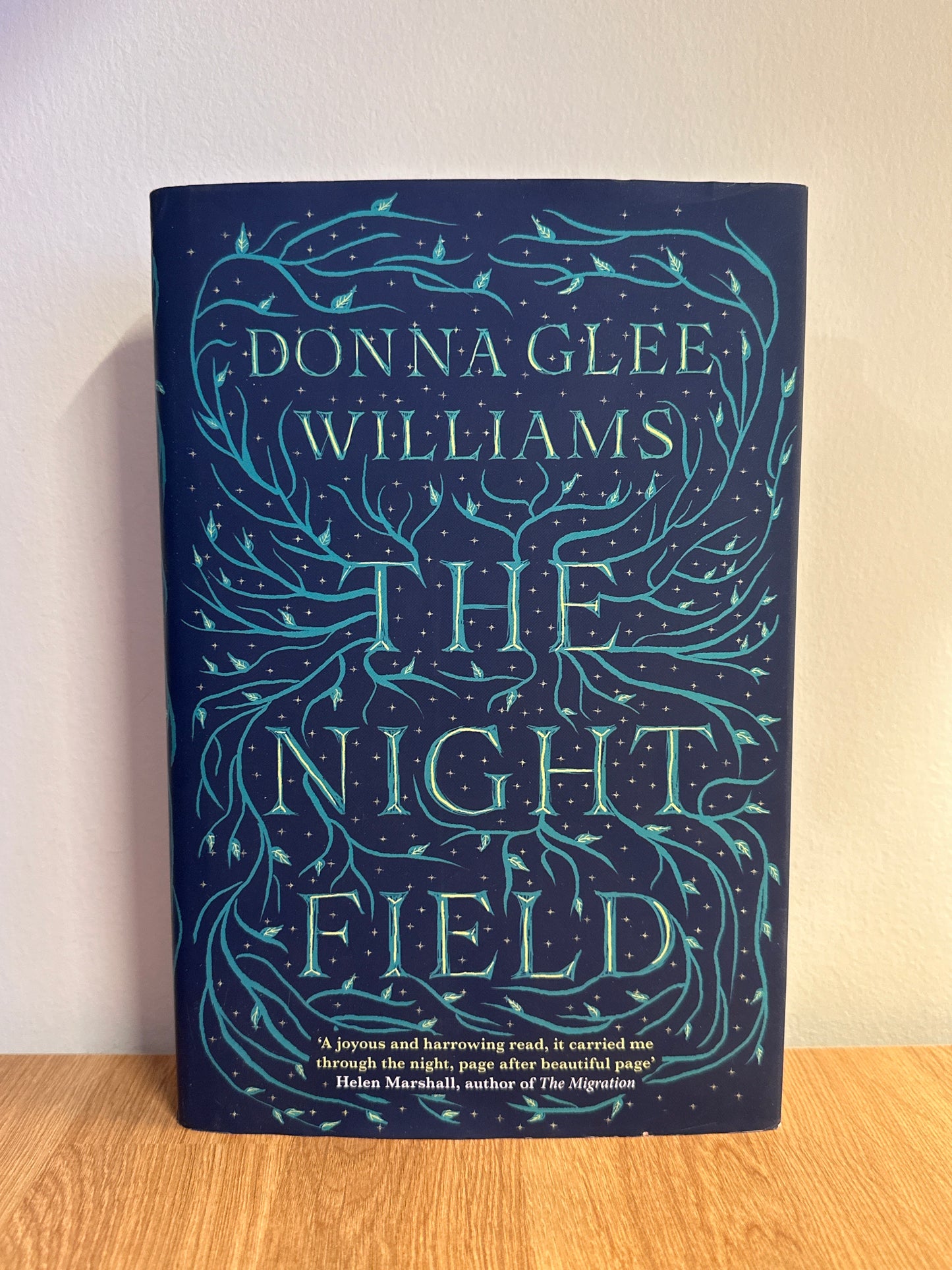 The Night Field